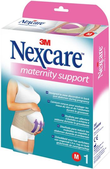 evolution mini belt sander